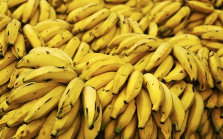 Santa Catarina tem exportação recorde de banana